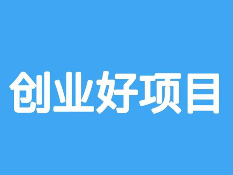 网络副业项目的发展趋势与机遇